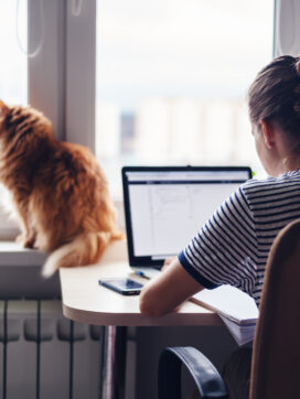 flexibel-werken-hybride