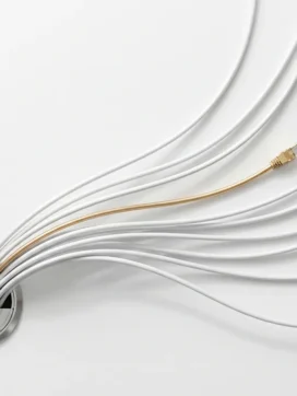 Witte ethernet kabels die uit een zilveren certificeringszegel stromen, één kabel met gouden accent op witte achtergrond