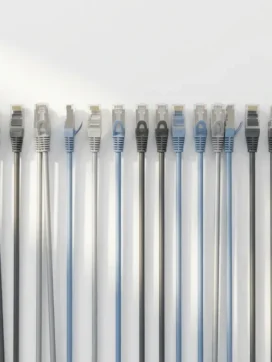 Kleurrijke ethernet kabels met RJ45 connectoren gerangschikt in parallelle lijnen op witte ondergrond, minimalistisch bovenaanzicht